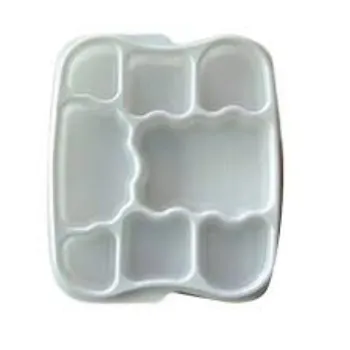 Disposable Food Tray